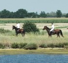 Reiten am Gardasee entlang der Küsten Reiten am Gardasee entlang der Küsten